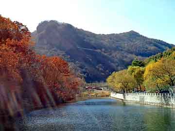 管家婆黑白马报图库，消疝1